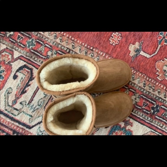 Australian UGGS - Picture 4 of 6